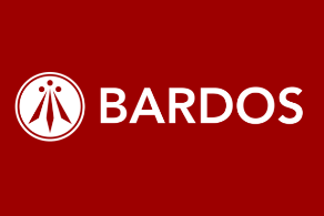 Bienvenido rockstar a Bardos | Bar independiente